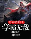 哈利波特之学霸无敌