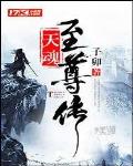 天魂至尊传