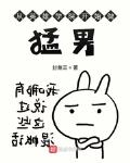 从英雄学院开始做猛男