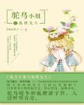 鸵鸟小姐与狐狸先生