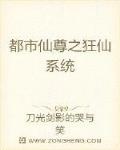 都市少年之狂仙系统