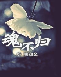 魂不归