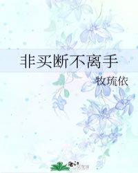 非买断不离手