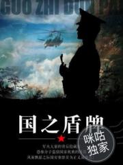 国之盾牌
