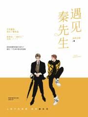 遇见秦先生