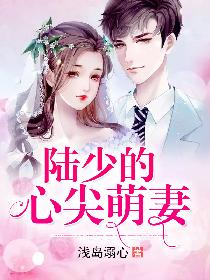 陆少的心尖萌妻
