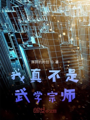 我真不是武学宗师