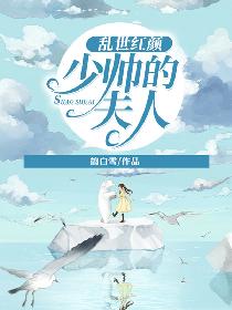 乱世红颜：少帅的夫人