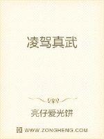 凌驾真武
