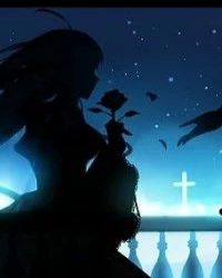 网王之冰帝！冰帝！
