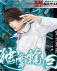 独掌轮回