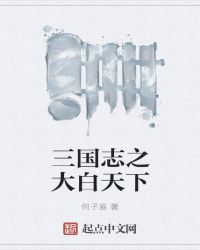 三国志之大白天下