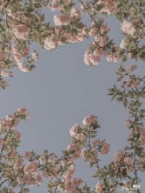 对不起，好友认证失败