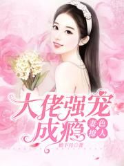 妻色撩人：大佬强宠成瘾