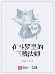 在斗罗里的三藏法师