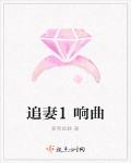 追妻交响曲