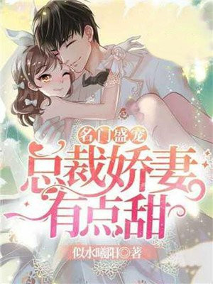 名门盛宠：总裁娇妻，有点甜