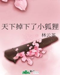 天下掉下了小狐狸