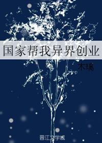 国家帮我异界创业