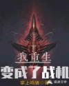 我重生变成了战机