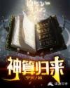 神算归来