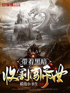 带着黑暗收割闯异世