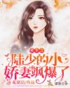 重生之陆少的小娇妻飒爆了