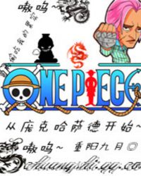 海贼之从庞克哈萨德开始
