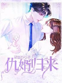 仇婿归来