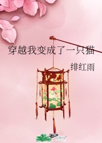 穿越我变成了一只猫