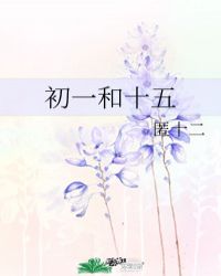 初一和十五