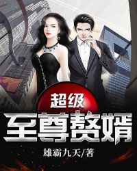 超级至尊赘婿
