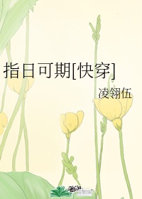 指日可期[快穿]