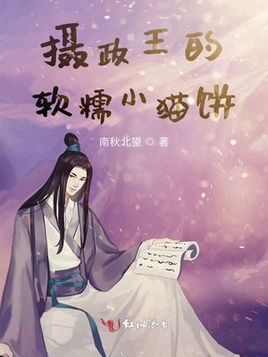 摄政王的软糯小猫饼