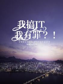 我搞IT我有罪？！