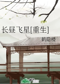 长昼飞星[重生]