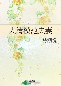 大清模范夫妻