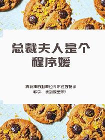 总裁夫人是个程序媛