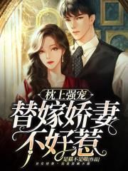 枕上强宠：替嫁娇妻不好惹