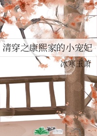 清穿之康熙家的小宠妃
