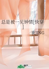 总是被一见钟情[快穿]