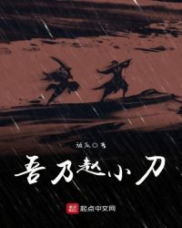 吾乃赵小刀