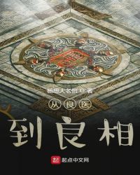从良医到良相