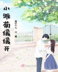 小雏菊缓缓开