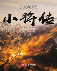 三国之小将传