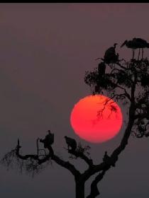 玄凯大陆