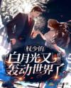 权少的白月光又轰动世界了