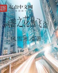 网游之花丛飞盗