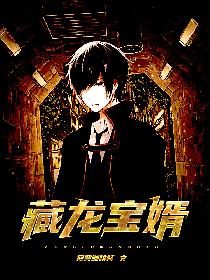 藏龙宝婿