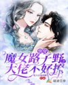 快穿魔女路子野之大佬不好撩